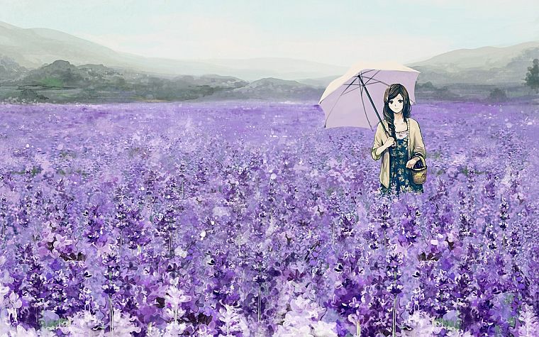 brunettes, flowers, fields, long hair, brown eyes, umbrellas, anime girls - desktop wallpaper