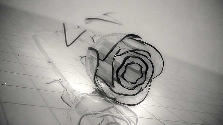 black and white, nature, flowers, glass, leaves, tables, darkness, crystals, roses - desktop wallpaper