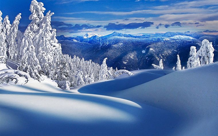 landscapes, nature, winter, snow, trees - desktop wallpaper