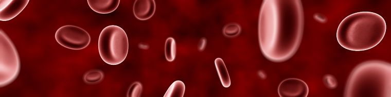 red, blood, anatomy, human body, blood cells, veterinary - desktop wallpaper