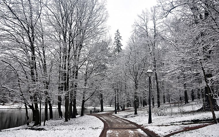 landscapes, nature, winter, snow, trees, forests, roads - desktop wallpaper