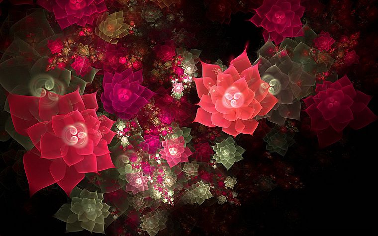 flowers - desktop wallpaper