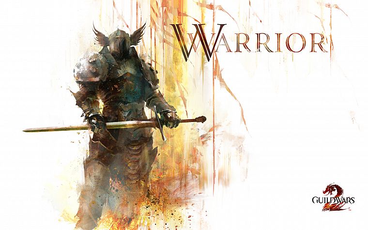 knights, weapons, Guild Wars, armor, artwork, warriors, Guild Wars 2, swords - desktop wallpaper