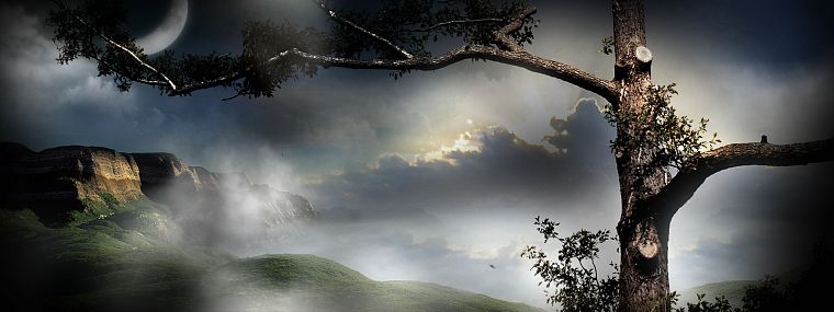 fantasy, trees, Moon, valleys, skyscapes - desktop wallpaper