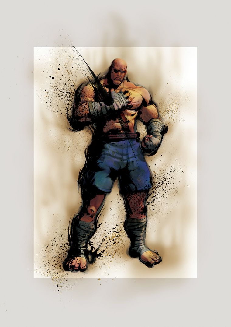 Street Fighter - desktop wallpaper