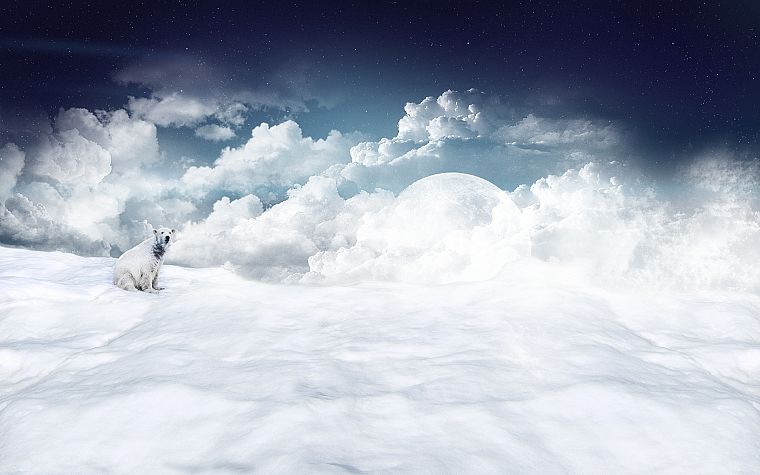 clouds, snow, moons, polar bears - desktop wallpaper