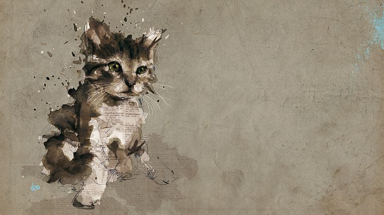 cats, animals, gray, kittens - desktop wallpaper
