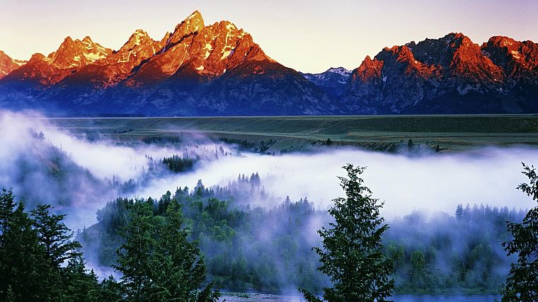 mountains, landscapes, forests, fog - desktop wallpaper