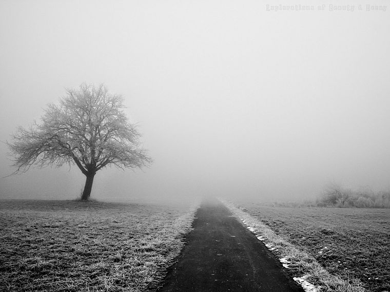 winter, fog, roads, monochrome - desktop wallpaper