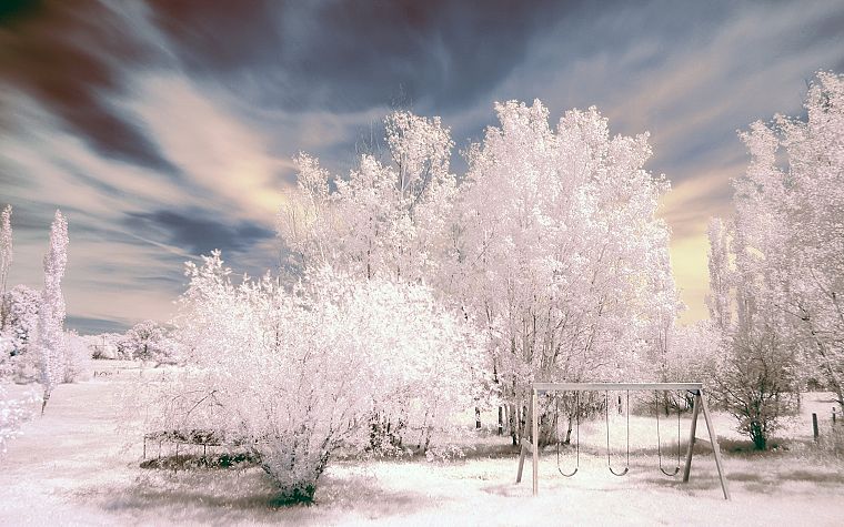 snow, trees, frost - desktop wallpaper