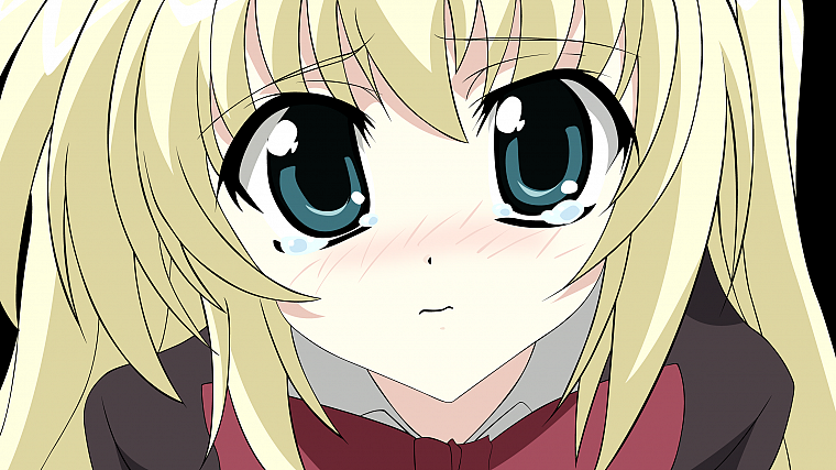 blondes, close-up, blue eyes, Seitokai no Ichizon, blush, anime, crying, anime girls - desktop wallpaper