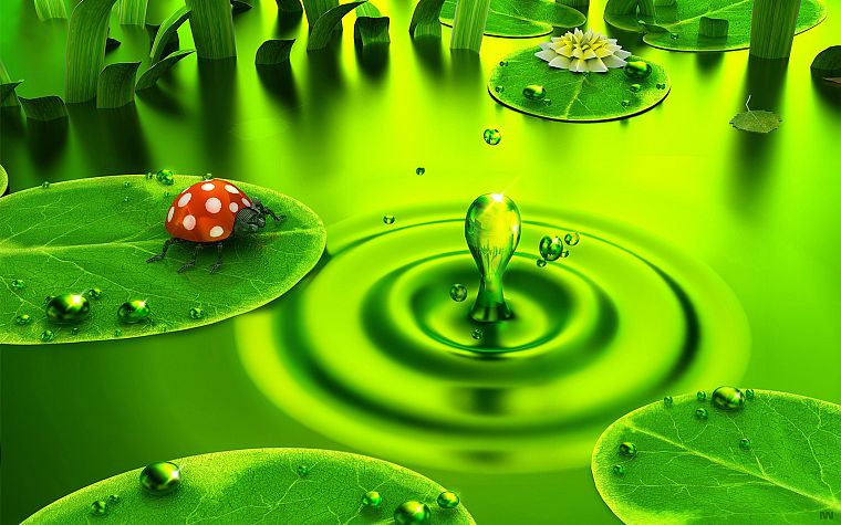 green, 3D view, DeviantART, digital art, water drops, ladybirds - desktop wallpaper