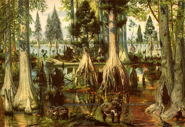 swamps, Zdenek Burian - desktop wallpaper