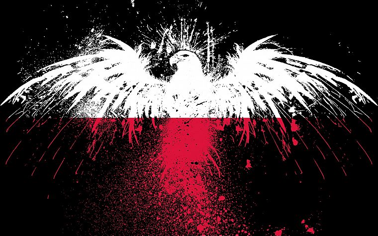 red, white, eagles, flags, Polish, Poland, black background, White Eagle - desktop wallpaper