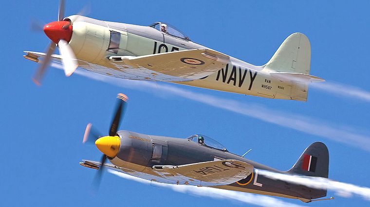 aircraft, military, planes, Hawker Sea Fury - desktop wallpaper