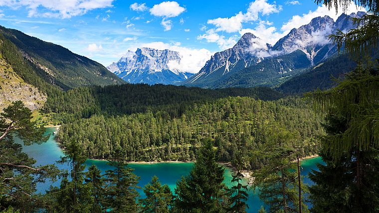 mountains, landscapes, trees, rivers - desktop wallpaper