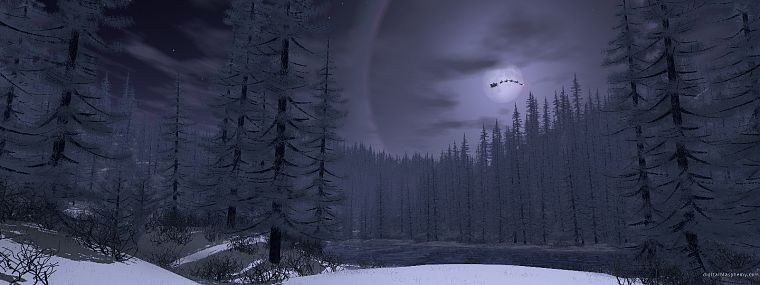 trees, night, forests, Moon, fantasy art - desktop wallpaper