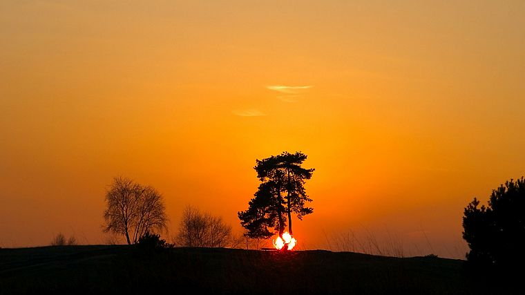 sunset, landscapes, Sun, trees - desktop wallpaper