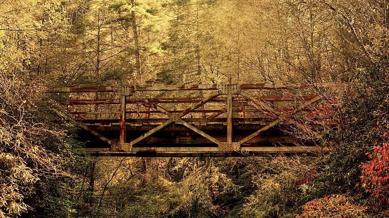forests, bridges - desktop wallpaper