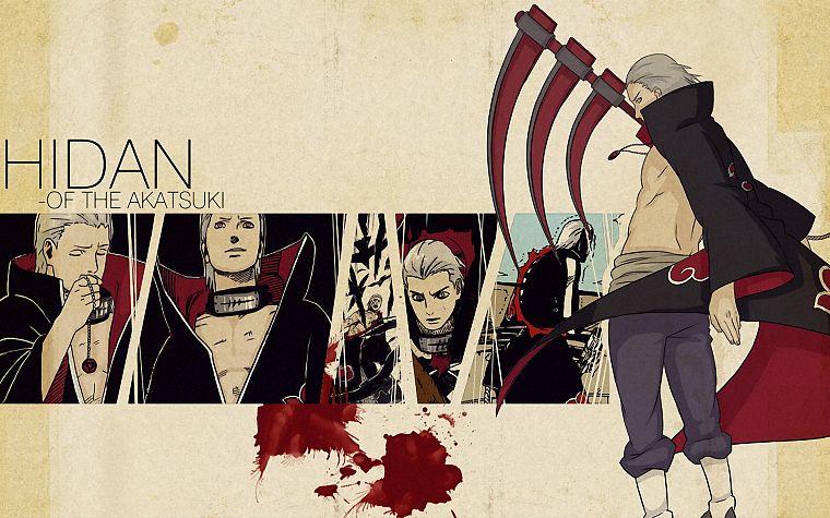 Naruto: Shippuden, Akatsuki, Hidan - desktop wallpaper