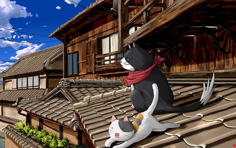 cats, Nyan Koi, Nyamsus - desktop wallpaper
