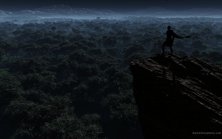 night, forests, cliffs - desktop wallpaper