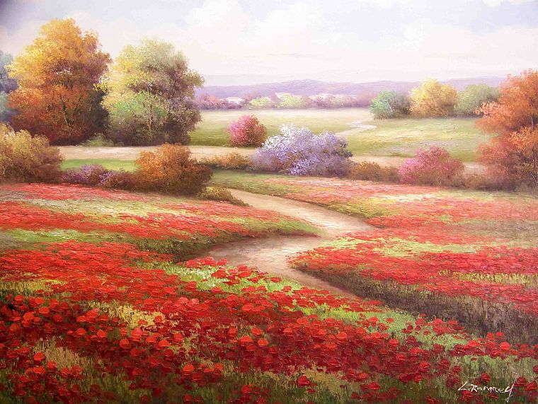 red, flowers, fields, paths, drawings, poppy - desktop wallpaper