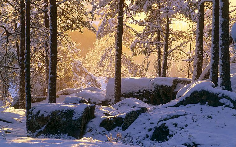 nature, winter, snow, trees, rocks, sunlight - desktop wallpaper