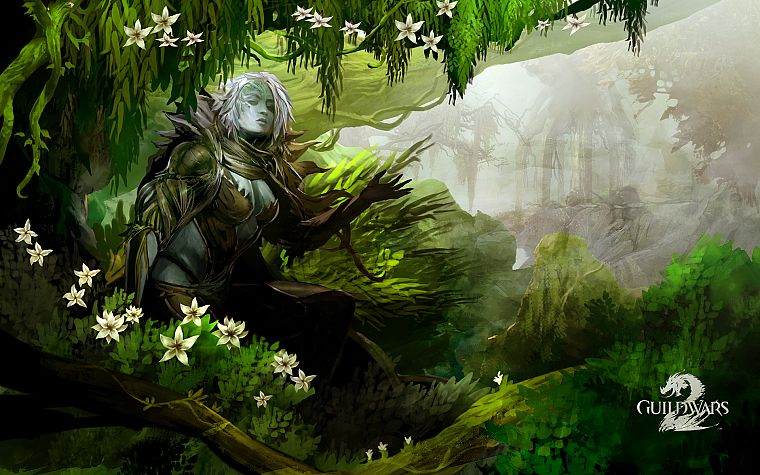 women, video games, nature, fantasy art, artwork, Guild Wars 2 - desktop wallpaper