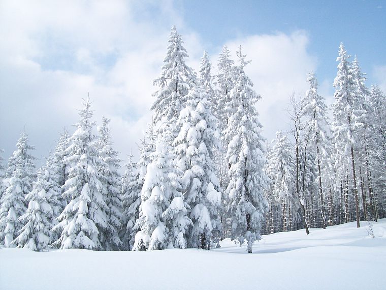 landscapes, winter, snow, Earth - desktop wallpaper
