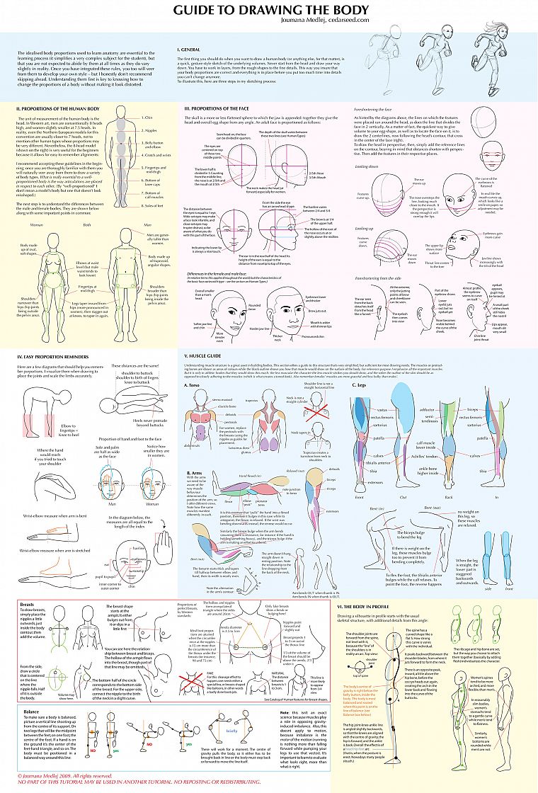 legs, guides, sketches, infographics, drawings, faces - desktop wallpaper