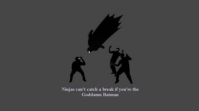Goddamn Batman, ninjas cant catch you if - desktop wallpaper