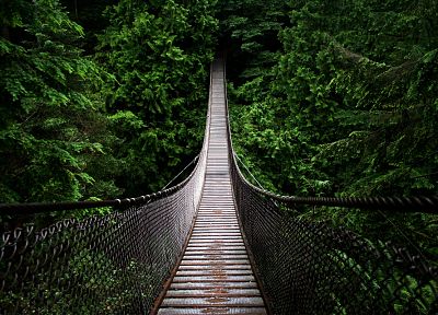 green, nature, trees, forests, paths, bridges - related desktop wallpaper