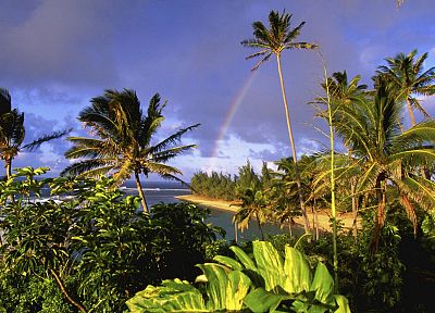Hawaii, kauai, parks, beaches - related desktop wallpaper