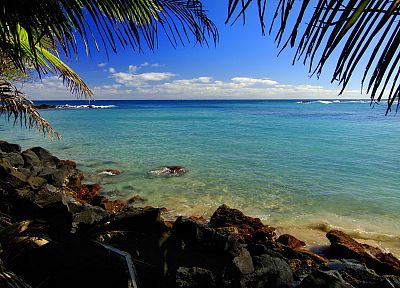 Hawaii, lagoon, palm leaves - duplicate desktop wallpaper