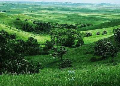 landscapes, grass, fields - duplicate desktop wallpaper