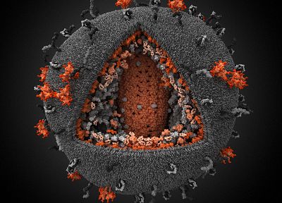 AIDS, HIV - duplicate desktop wallpaper