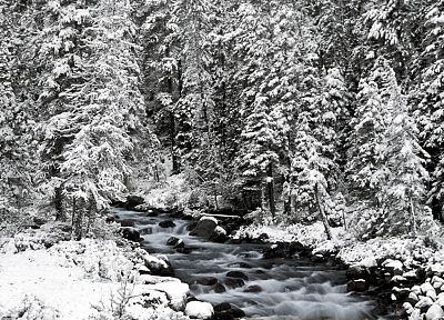landscapes, nature, winter, Canada, Alberta, Banff National Park, National Park - desktop wallpaper