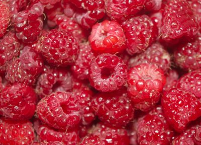 raspberries - desktop wallpaper