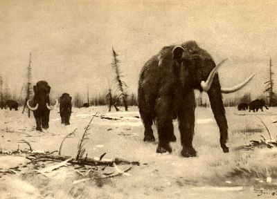 mammoth, Zdenek Burian - desktop wallpaper