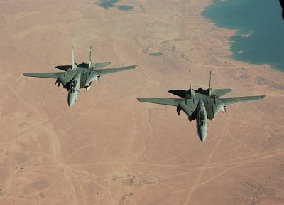 aircraft, military, navy, F-14 Tomcat - desktop wallpaper
