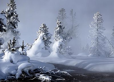 landscapes, winter, snow, snowy trees - random desktop wallpaper