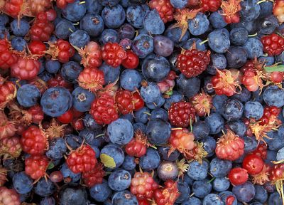 fruits, blueberries - random desktop wallpaper