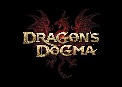 video games, dragons, Capcom, fantasy art, logos, Dragons Dogma, Dogma - related desktop wallpaper