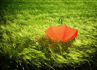 green, nature, orange, grass, umbrellas - random desktop wallpaper