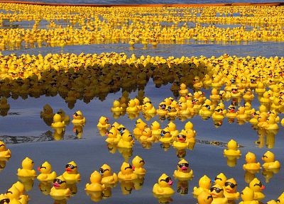 yellow, sunglasses, rubber ducks - desktop wallpaper
