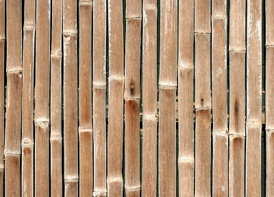 nature, wood, bamboo, textures - random desktop wallpaper