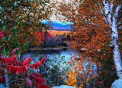 landscapes, nature, trees, autumn, lakes - desktop wallpaper