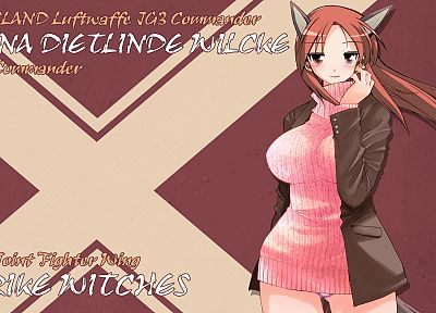 Strike Witches, animal ears, anime, Minna-Dietlinde Wilcke - related desktop wallpaper