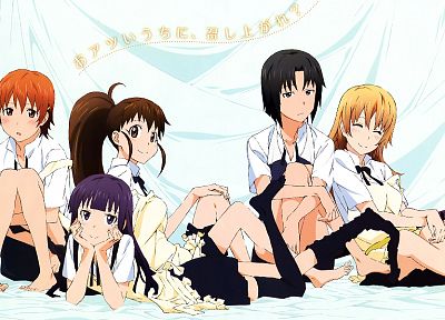 Working!! (Anime), Yamada Aoi, Taneshima Popura, Shirafuji Kyouko, Todoroki Yachiyo, Inami Mahiru - random desktop wallpaper
